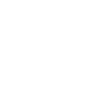 efs logo 2025 03
